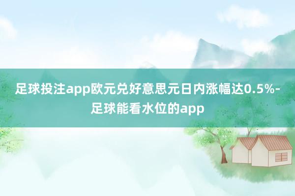 足球投注app　　欧元兑好意思元日内涨幅达0.5%-足球能看水位的app