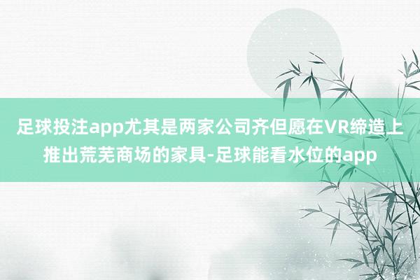 足球投注app尤其是两家公司齐但愿在VR缔造上推出荒芜商场的家具-足球能看水位的app