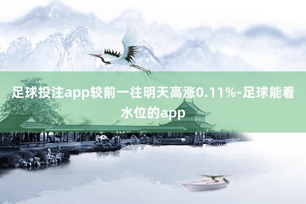 足球投注app较前一往明天高涨0.11%-足球能看水位的app