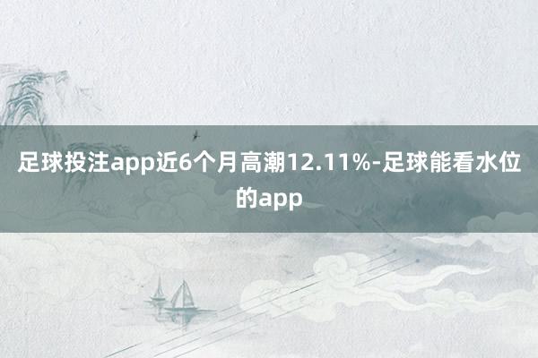 足球投注app近6个月高潮12.11%-足球能看水位的app