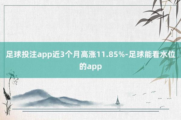 足球投注app近3个月高涨11.85%-足球能看水位的app