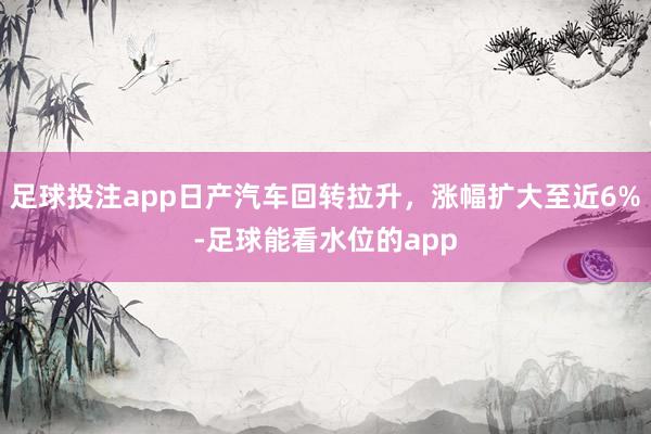 足球投注app日产汽车回转拉升，涨幅扩大至近6%-足球能看水位的app
