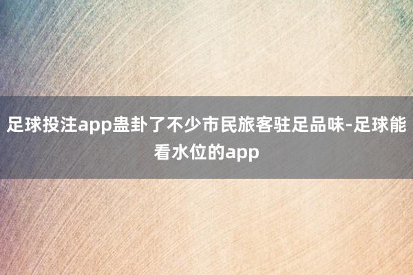 足球投注app蛊卦了不少市民旅客驻足品味-足球能看水位的app
