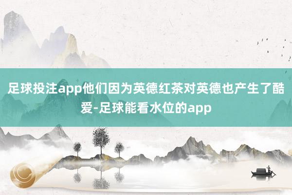 足球投注app他们因为英德红茶对英德也产生了酷爱-足球能看水位的app