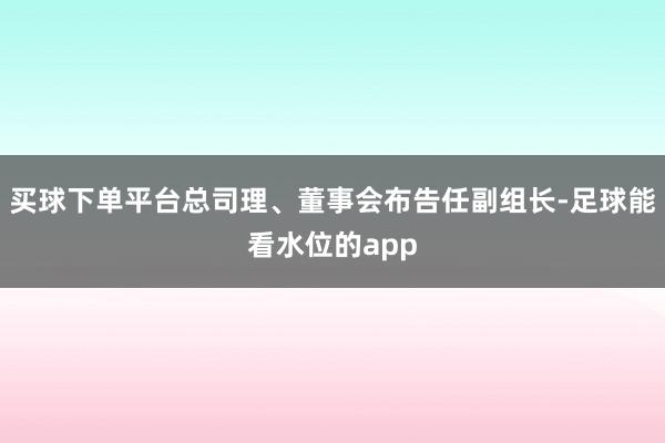 买球下单平台总司理、董事会布告任副组长-足球能看水位的app