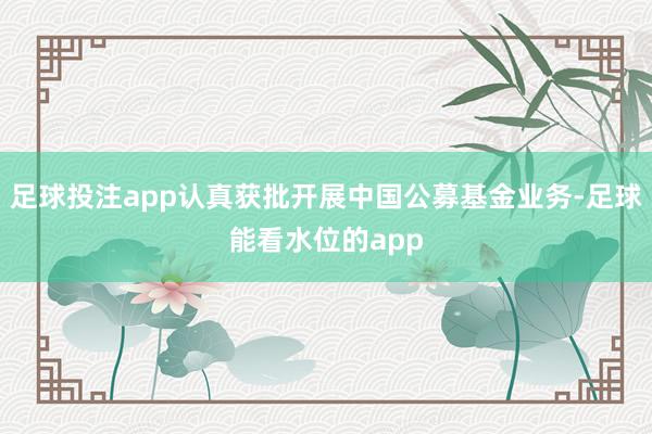 足球投注app认真获批开展中国公募基金业务-足球能看水位的app