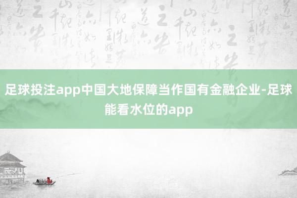 足球投注app中国大地保障当作国有金融企业-足球能看水位的app