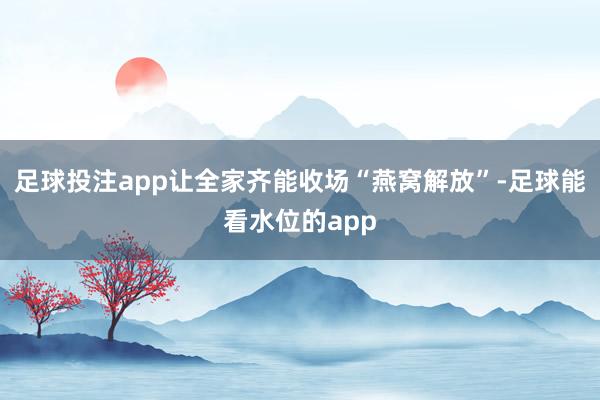 足球投注app让全家齐能收场“燕窝解放”-足球能看水位的app