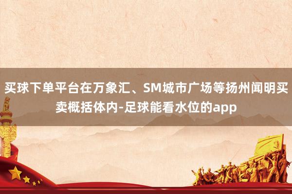 买球下单平台在万象汇、SM城市广场等扬州闻明买卖概括体内-足球能看水位的app