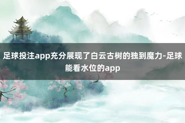 足球投注app充分展现了白云古树的独到魔力-足球能看水位的app