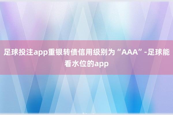 足球投注app重银转债信用级别为“AAA”-足球能看水位的app