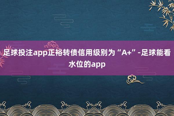足球投注app正裕转债信用级别为“A+”-足球能看水位的app