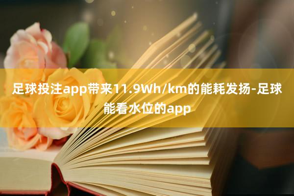 足球投注app带来11.9Wh/km的能耗发扬-足球能看水位的app