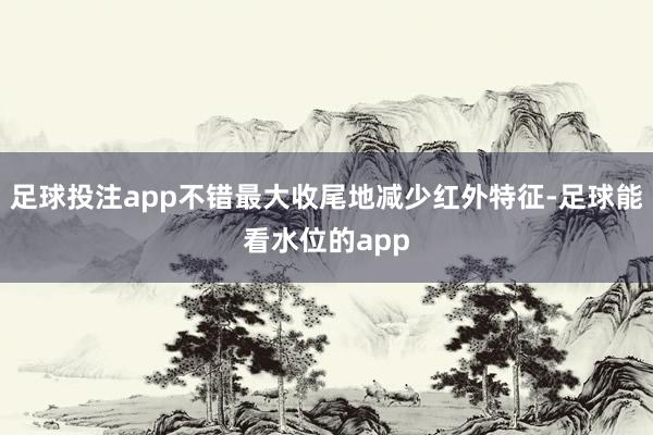足球投注app不错最大收尾地减少红外特征-足球能看水位的app
