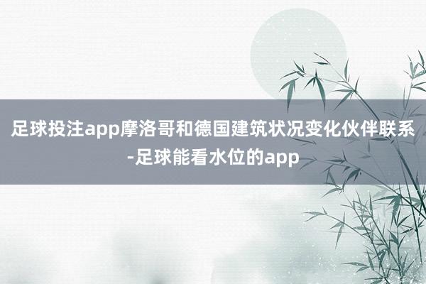 足球投注app摩洛哥和德国建筑状况变化伙伴联系-足球能看水位的app