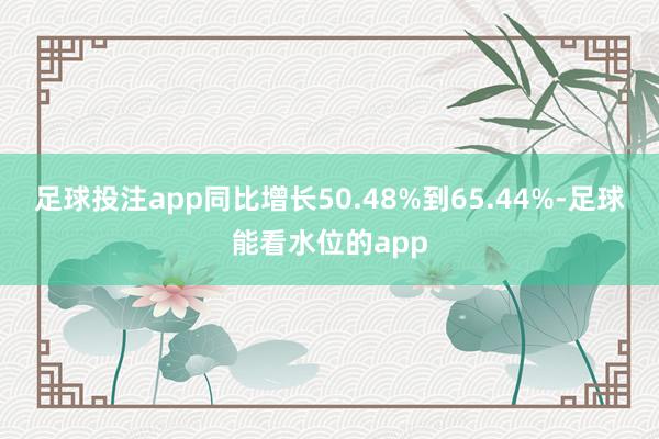 足球投注app同比增长50.48%到65.44%-足球能看水位的app