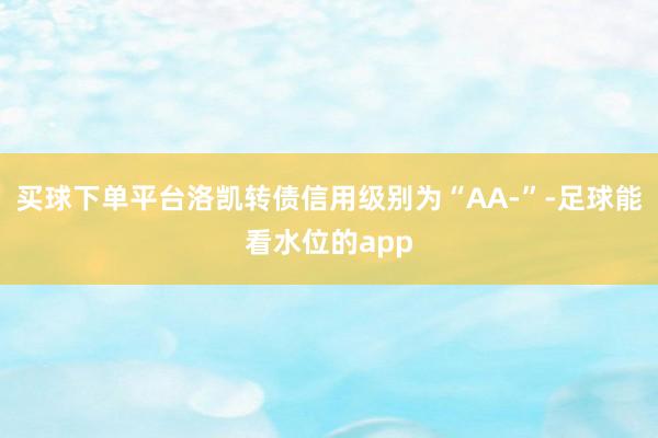 买球下单平台洛凯转债信用级别为“AA-”-足球能看水位的app