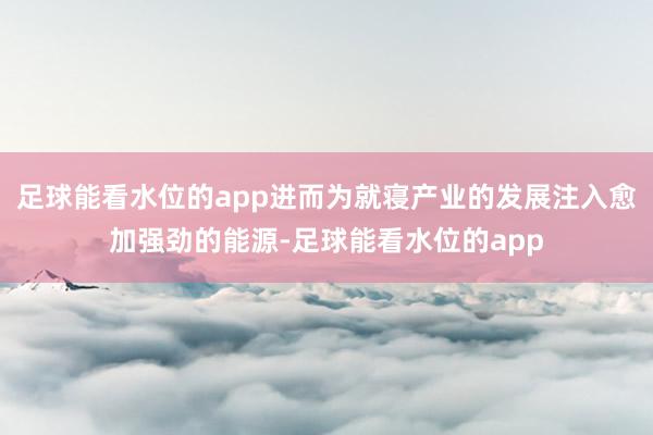 足球能看水位的app进而为就寝产业的发展注入愈加强劲的能源-足球能看水位的app