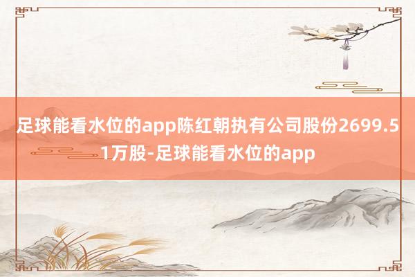 足球能看水位的app陈红朝执有公司股份2699.51万股-足球能看水位的app