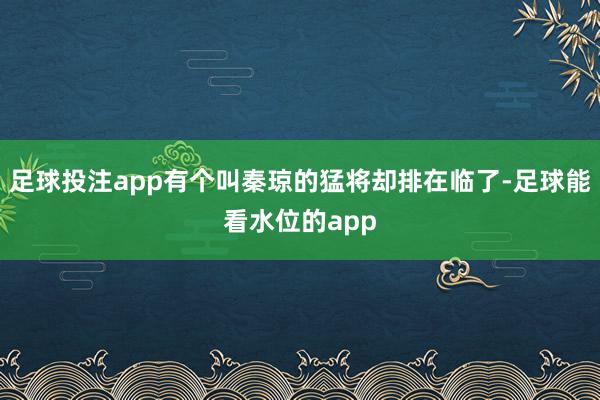 足球投注app有个叫秦琼的猛将却排在临了-足球能看水位的app