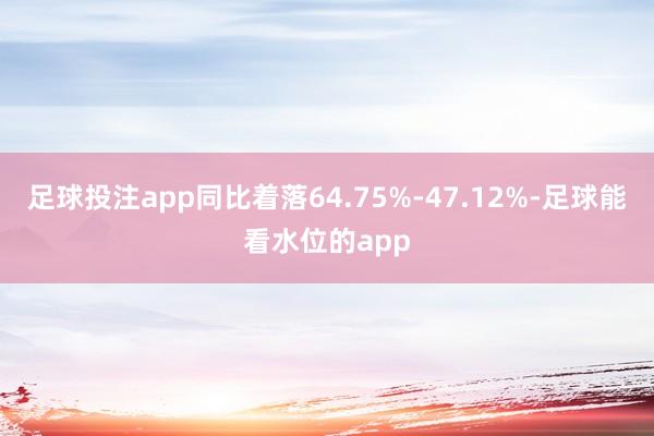 足球投注app同比着落64.75%-47.12%-足球能看水位的app