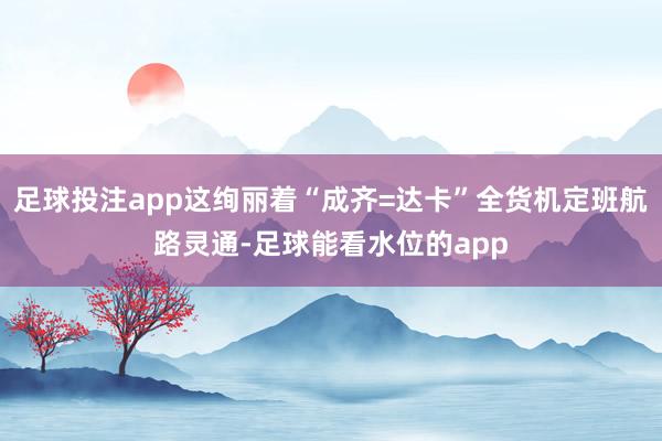 足球投注app这绚丽着“成齐=达卡”全货机定班航路灵通-足球能看水位的app