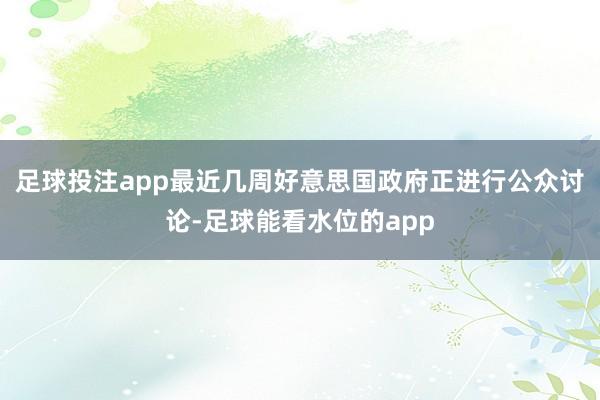 足球投注app最近几周好意思国政府正进行公众讨论-足球能看水位的app