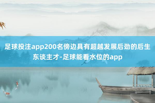 足球投注app200名傍边具有超越发展后劲的后生东谈主才-足球能看水位的app