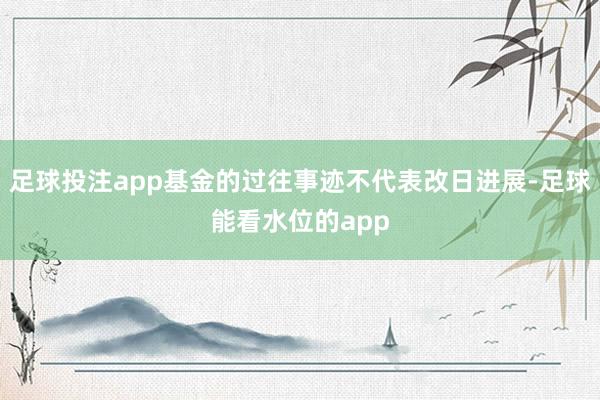 足球投注app基金的过往事迹不代表改日进展-足球能看水位的app