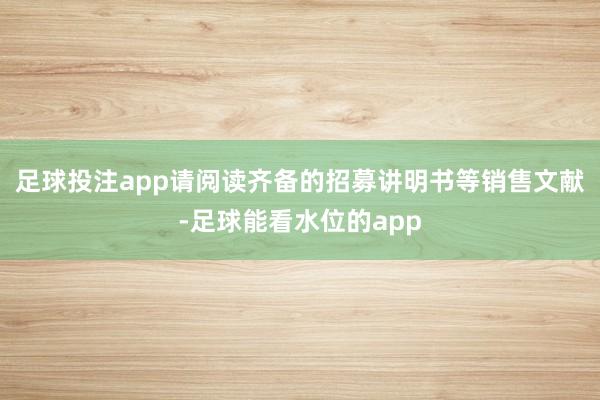 足球投注app请阅读齐备的招募讲明书等销售文献-足球能看水位的app