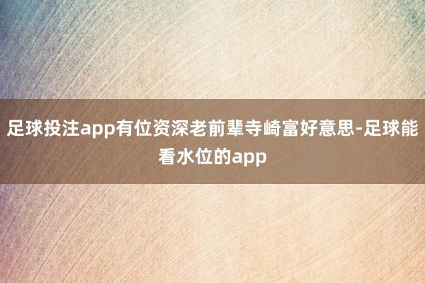 足球投注app有位资深老前辈寺崎富好意思-足球能看水位的app