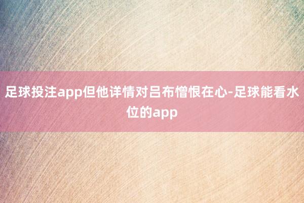 足球投注app但他详情对吕布憎恨在心-足球能看水位的app