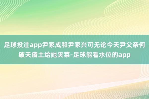 足球投注app尹家成和尹家兴可无论今天尹父奈何破天瘠土给她夹菜-足球能看水位的app