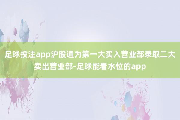 足球投注app沪股通为第一大买入营业部录取二大卖出营业部-足球能看水位的app