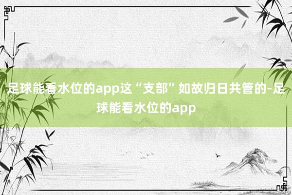足球能看水位的app这“支部”如故归日共管的-足球能看水位的app