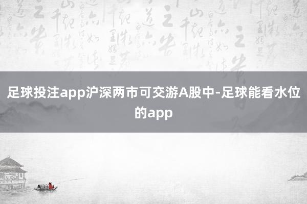 足球投注app沪深两市可交游A股中-足球能看水位的app