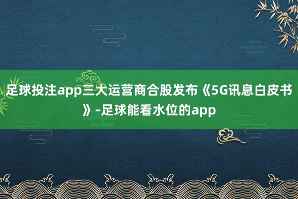 足球投注app三大运营商合股发布《5G讯息白皮书》-足球能看水位的app