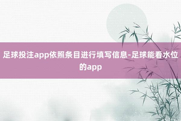 足球投注app依照条目进行填写信息-足球能看水位的app