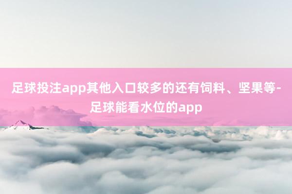 足球投注app其他入口较多的还有饲料、坚果等-足球能看水位的app
