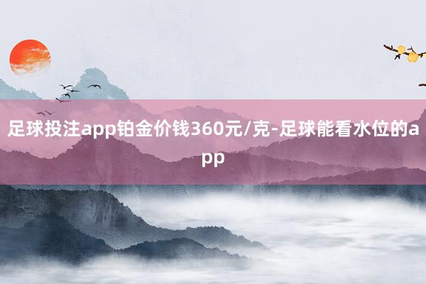 足球投注app铂金价钱360元/克-足球能看水位的app