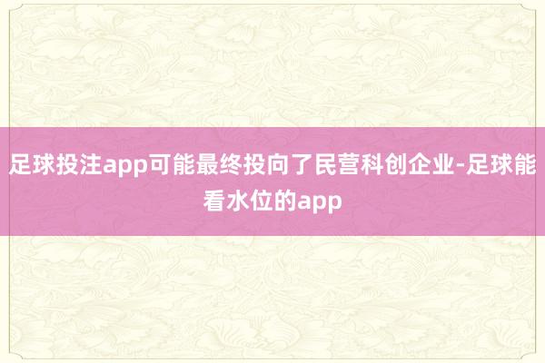 足球投注app可能最终投向了民营科创企业-足球能看水位的app