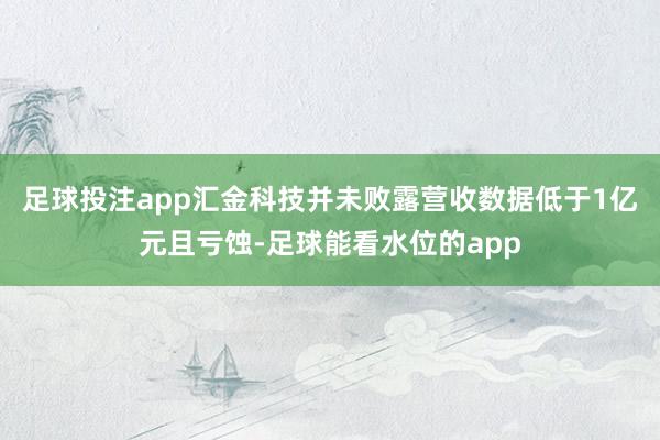 足球投注app汇金科技并未败露营收数据低于1亿元且亏蚀-足球能看水位的app