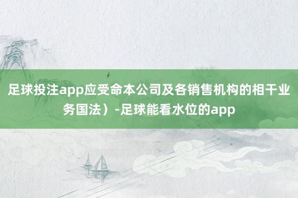 足球投注app应受命本公司及各销售机构的相干业务国法)-足球能看水位的app