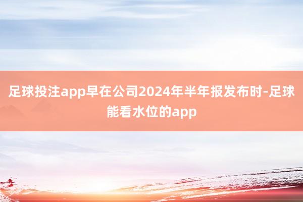 足球投注app早在公司2024年半年报发布时-足球能看水位的app