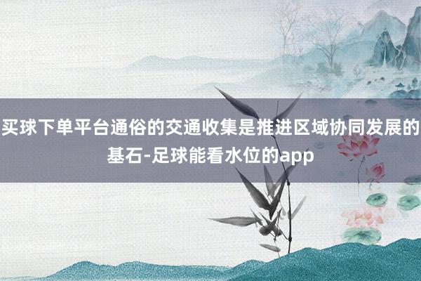 买球下单平台通俗的交通收集是推进区域协同发展的基石-足球能看水位的app
