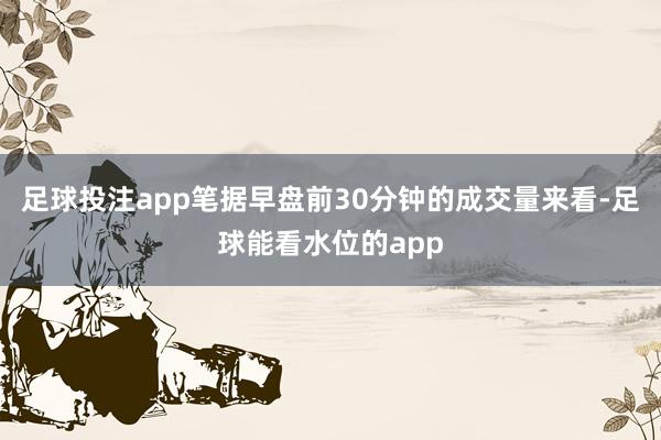 足球投注app笔据早盘前30分钟的成交量来看-足球能看水位的app