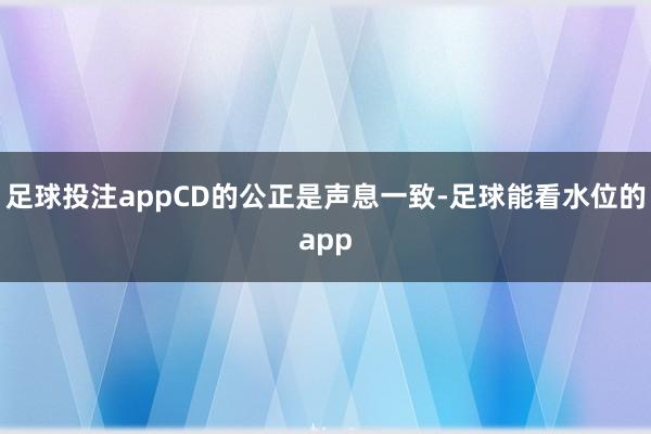 足球投注appCD的公正是声息一致-足球能看水位的app