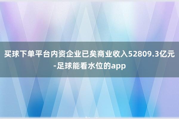 买球下单平台内资企业已矣商业收入52809.3亿元-足球能看水位的app