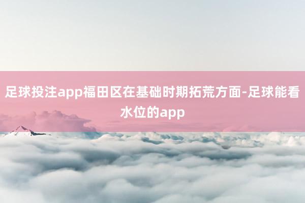 足球投注app福田区在基础时期拓荒方面-足球能看水位的app