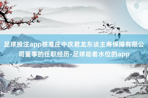 足球投注app核准庄中庆君龙东谈主寿保障有限公司董事的任职经历-足球能看水位的app